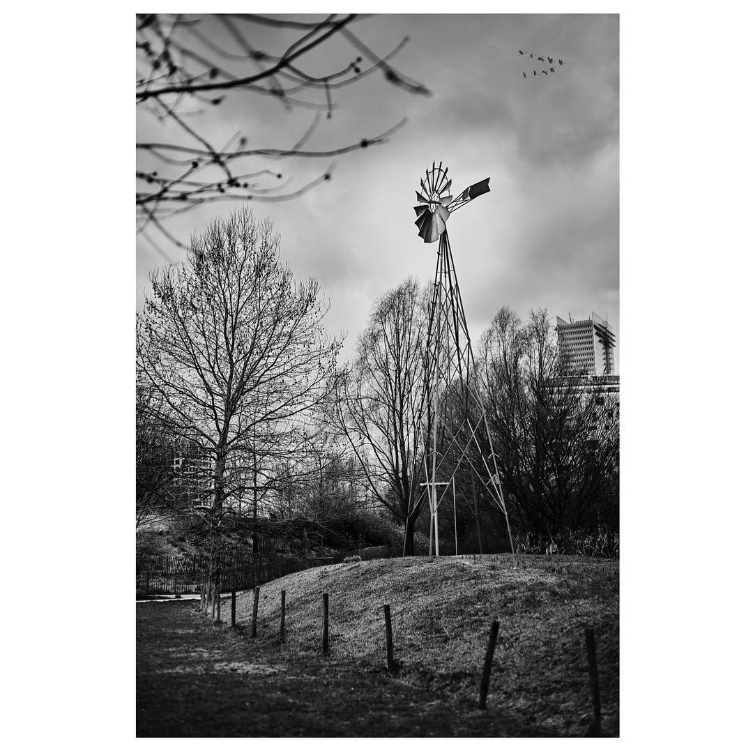 Paris: Download Error