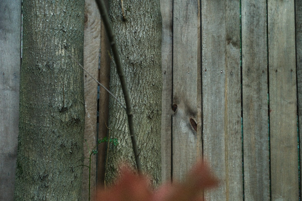 8-9/25. Иван Кобяков