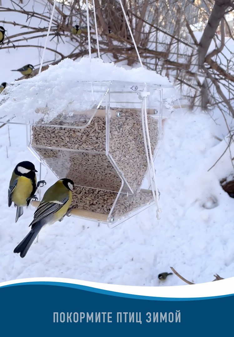 АМБАР. Кормушки для птиц на окно Чирик-Чирик