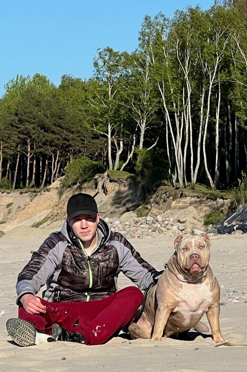 BBK’s Amber. Американские булли XL в г. Калининград. Питомник Great Bully UNIVERSE