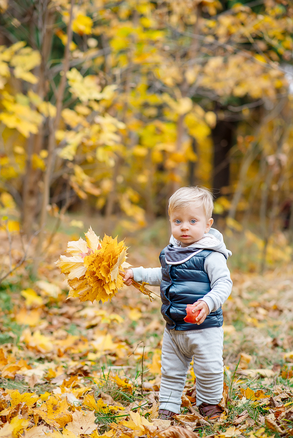 Осенние фотосессии. Семейный и свадебный фотограф Семенова Инна