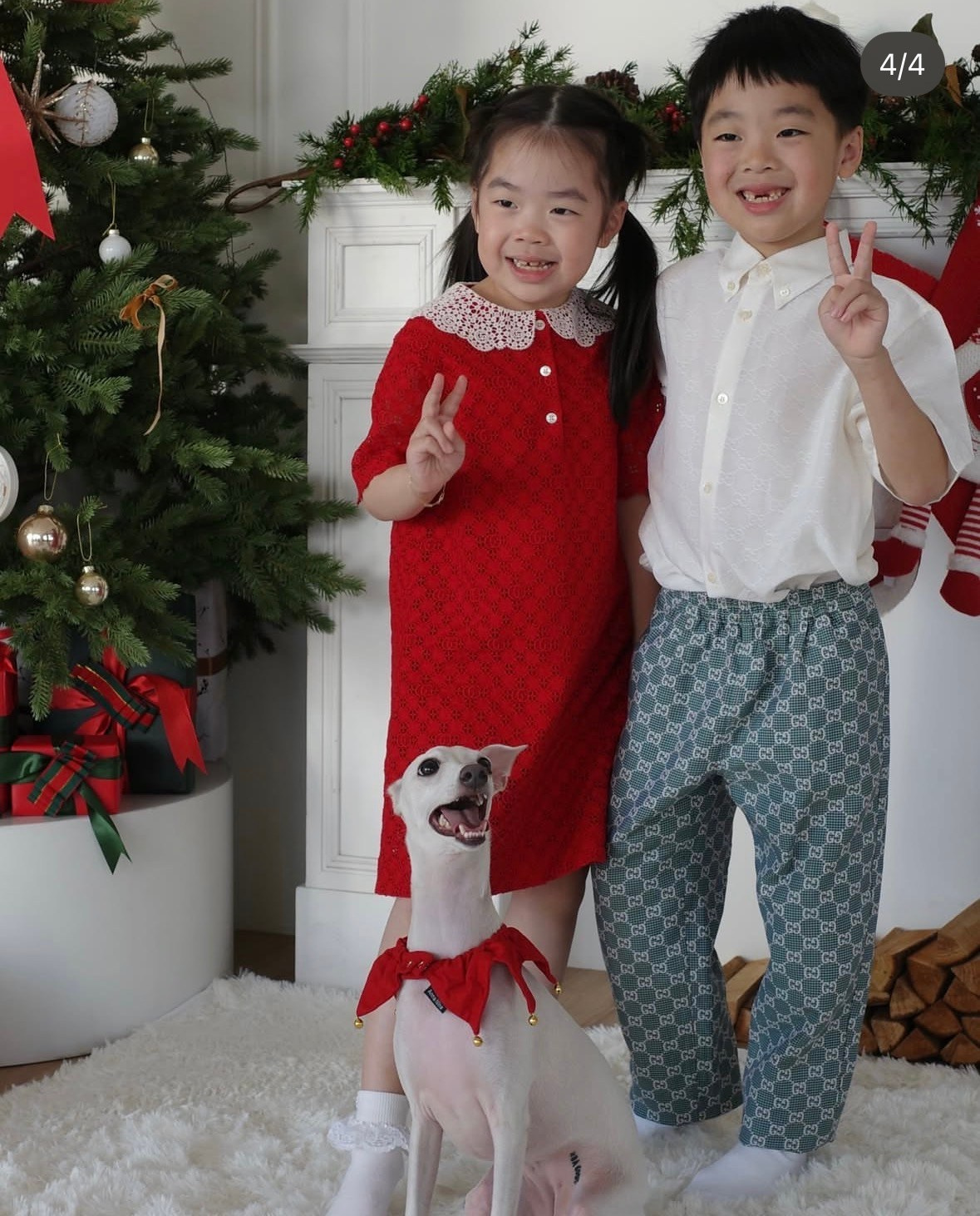 Левретка и ребенок: нежная дружба. Профессиональный питомник левреток РКФ/FCI ASTI SAPPHIRE 💎 Сочи|Санкт-Петербург