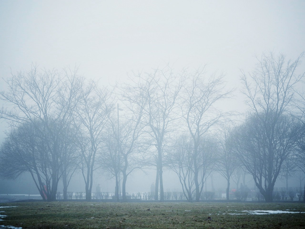 Елена Гонтаренко — художественный портрет. Фотограф в России, Семейный фотограф, репортажный фотограф, детский фотограф, портретный фотограф, контент фотограф, универсальный фотограф