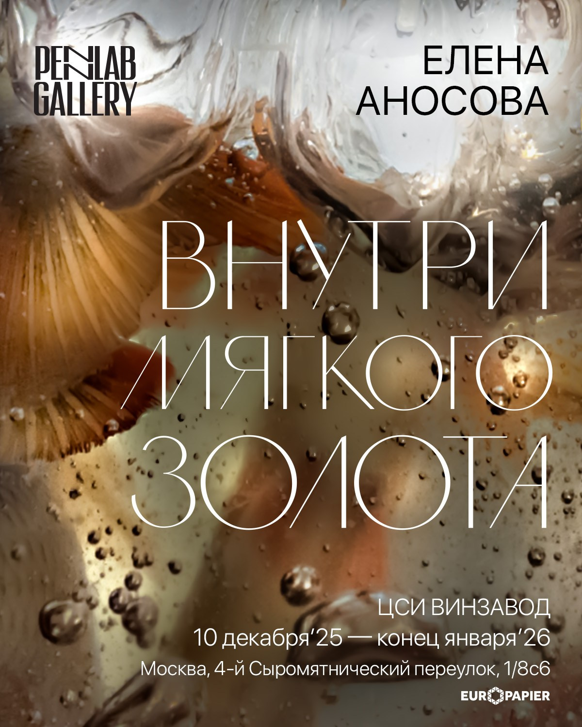 Sculpture and drawings for Urgent Perspectives #3, Aacollections Gallery, Vienna. Елена Аносова — художница и исследовательница, куратор и лектор