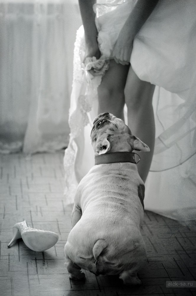 Свадебный фотограф Краснодар, Свадебная фотосъемка, Профессиональная свадебная фотография, Свадьба в Краснодаре