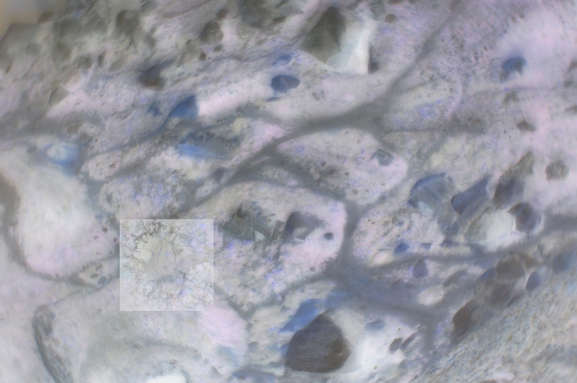 ФОТОГРАФИЯ. CONTEMPORARY ARTIST OLGA ANDRIYASH