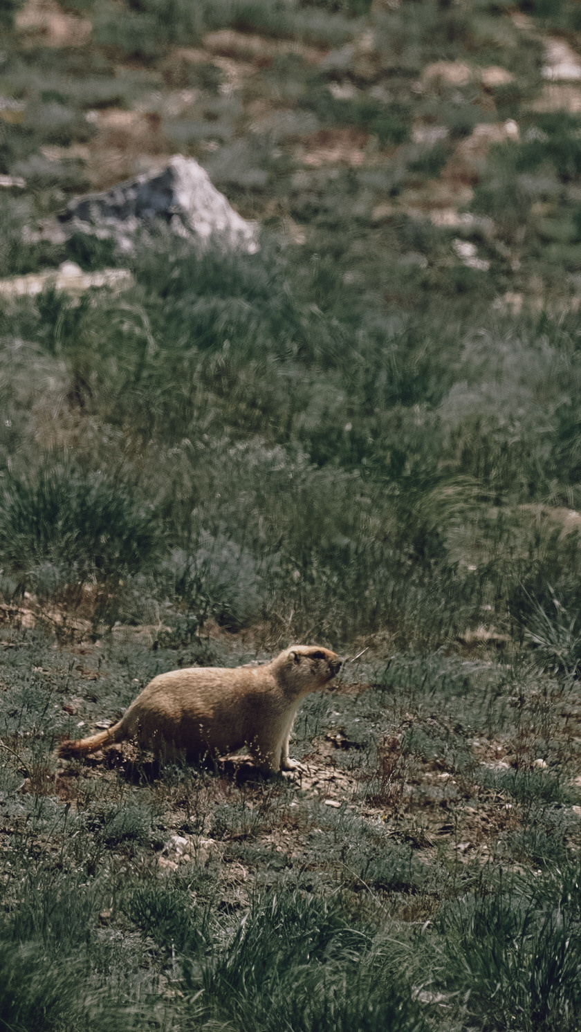 Между Уфой и Оренбургом 2022. Человек с фотокамерой