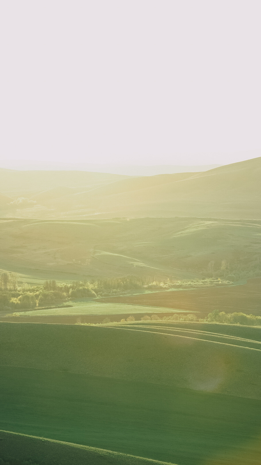 Между Уфой и Оренбургом 2022. Человек с фотокамерой