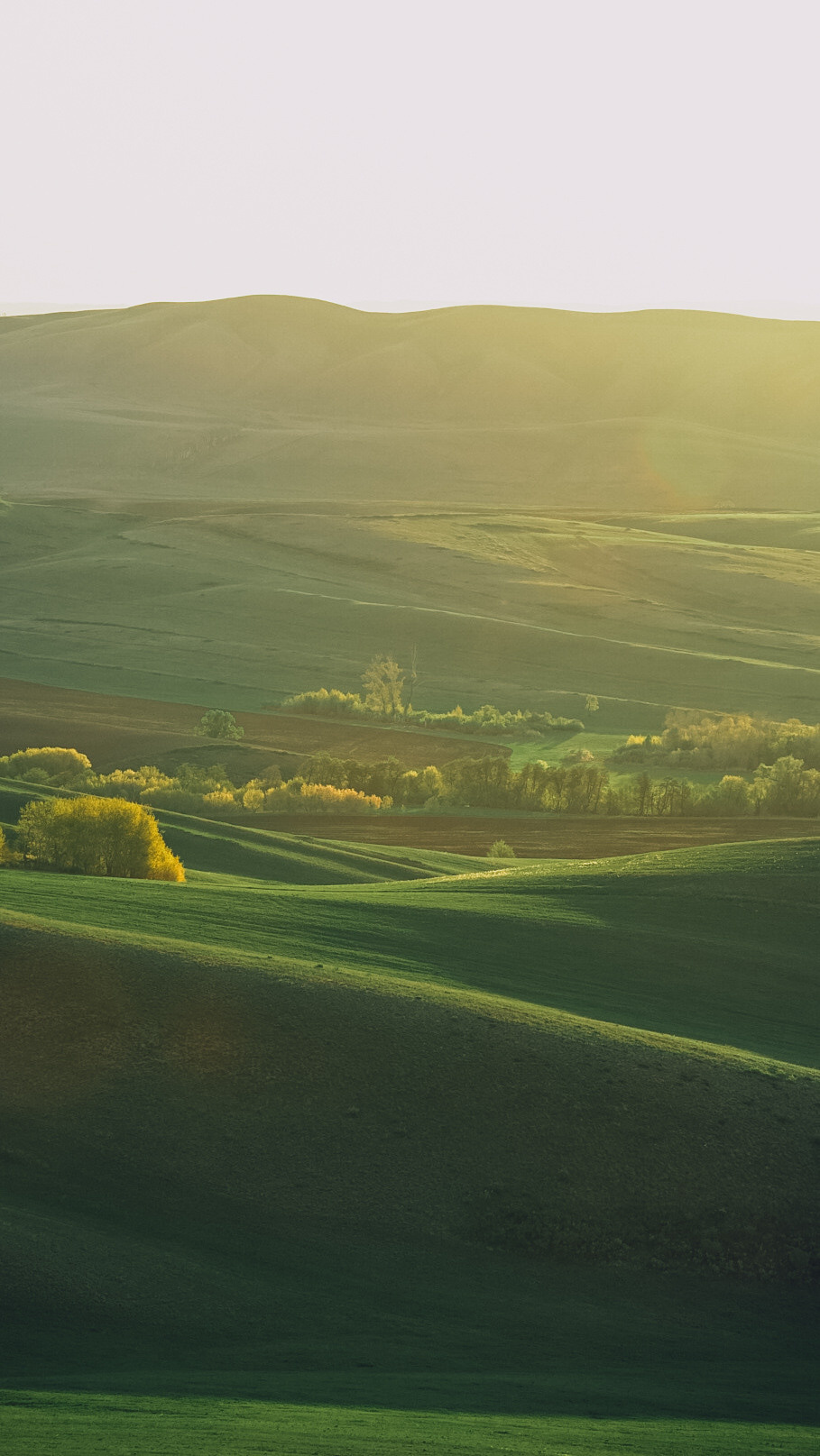 Между Уфой и Оренбургом 2022. Человек с фотокамерой