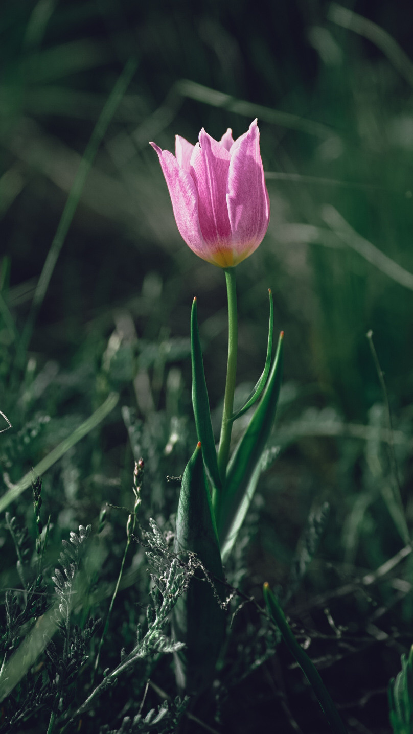Между Уфой и Оренбургом 2022. Человек с фотокамерой
