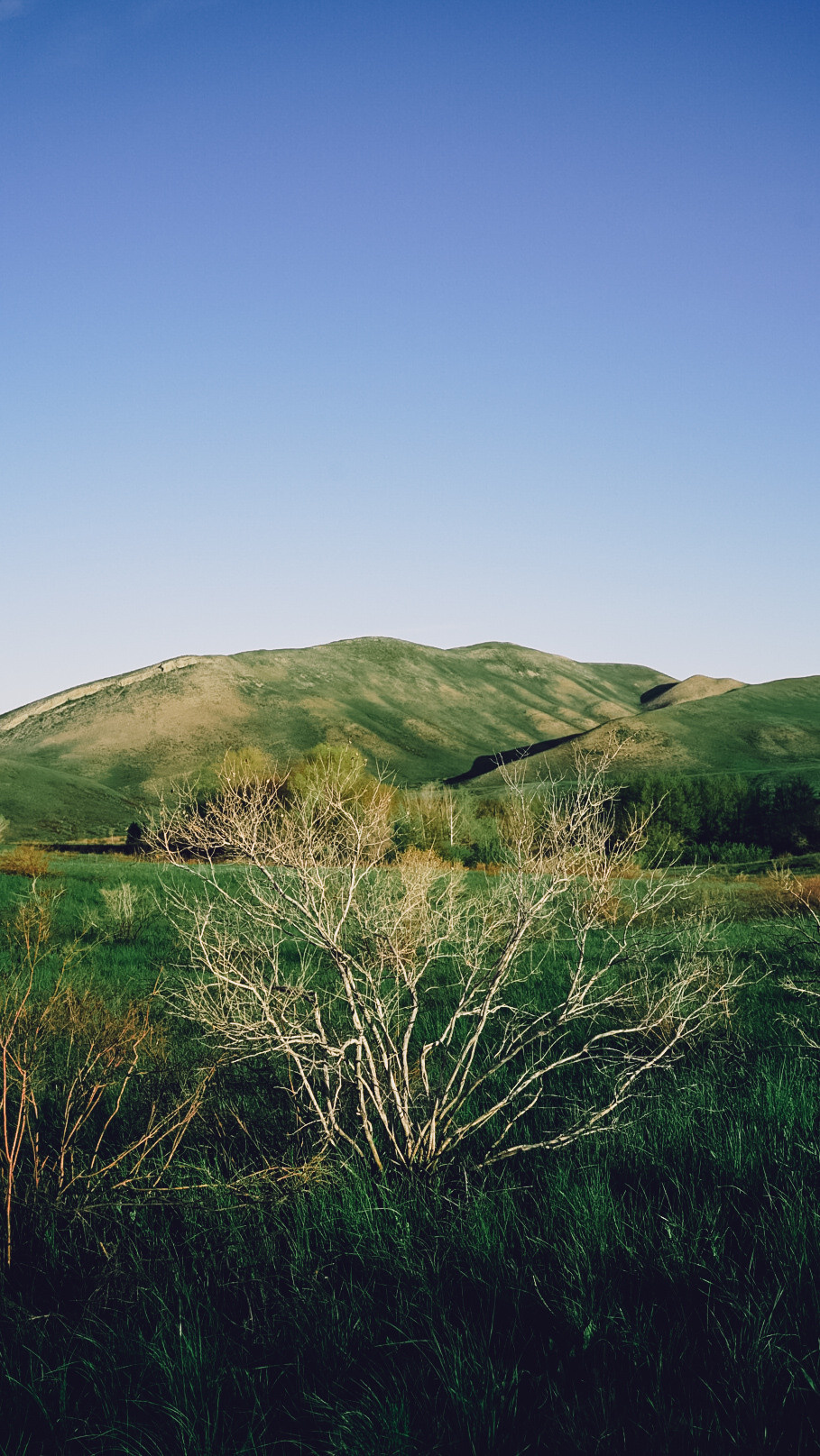 Между Уфой и Оренбургом 2022. Человек с фотокамерой