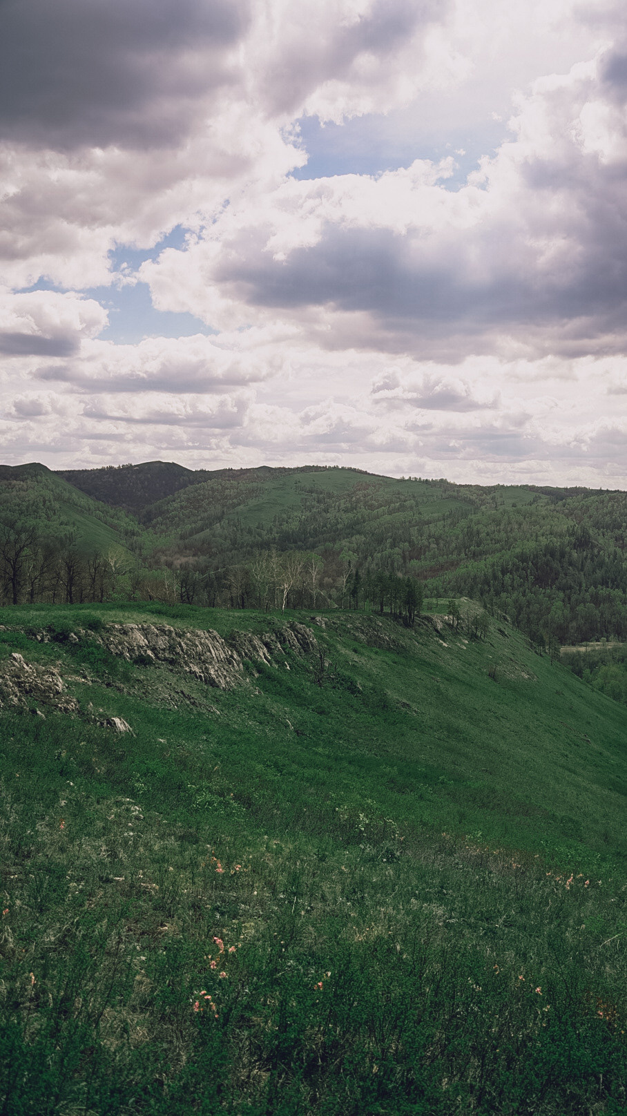 Между Уфой и Оренбургом 2022. Человек с фотокамерой