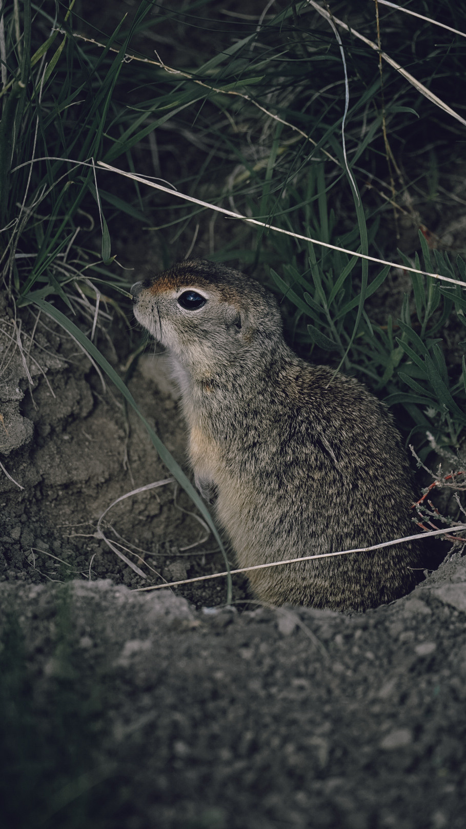 Между Уфой и Оренбургом 2022. Человек с фотокамерой