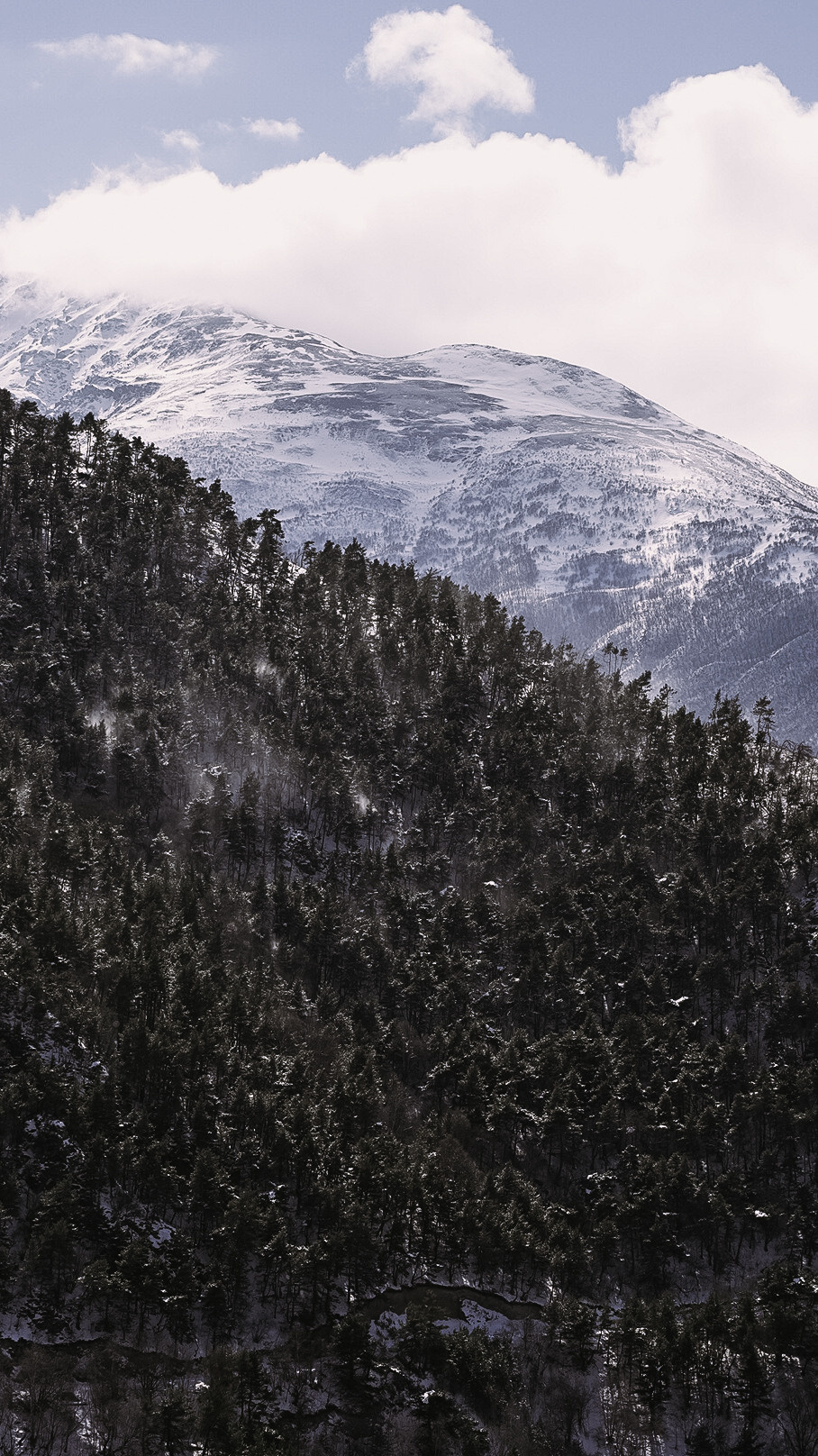 Северная Осетия — Алания 2022. Человек с фотокамерой