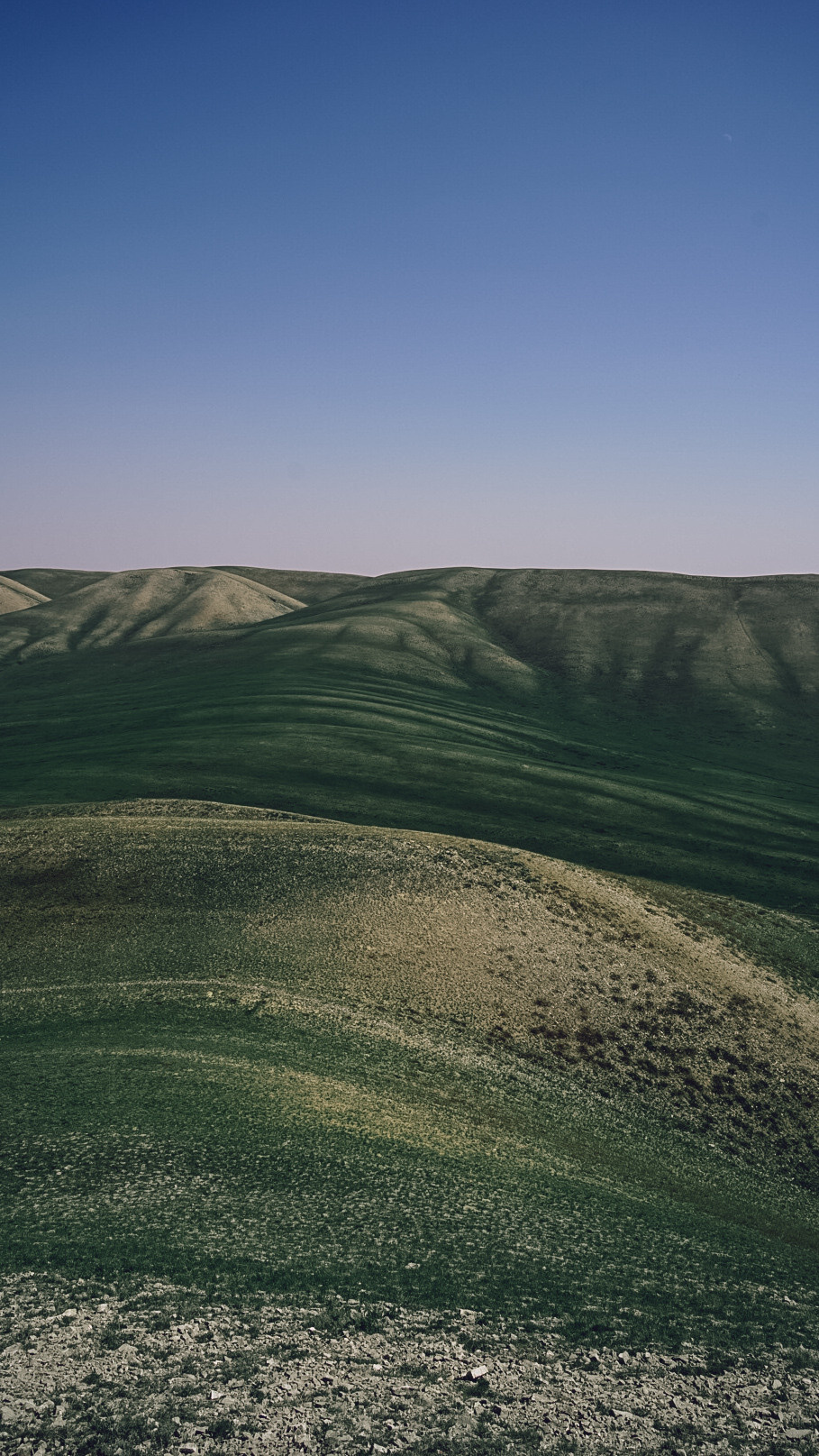 Между Уфой и Оренбургом 2022. Человек с фотокамерой