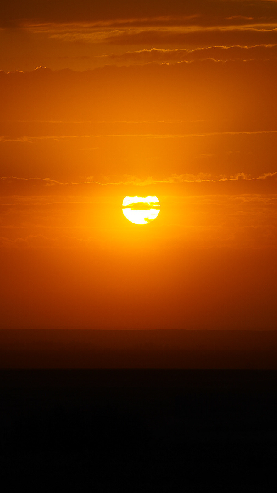 Между Уфой и Оренбургом 2022. Человек с фотокамерой