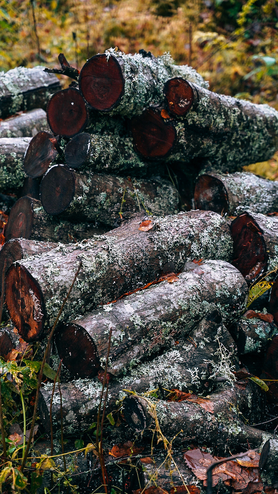 Вокруг Ладоги на мотоцикле 2020. Человек с фотокамерой