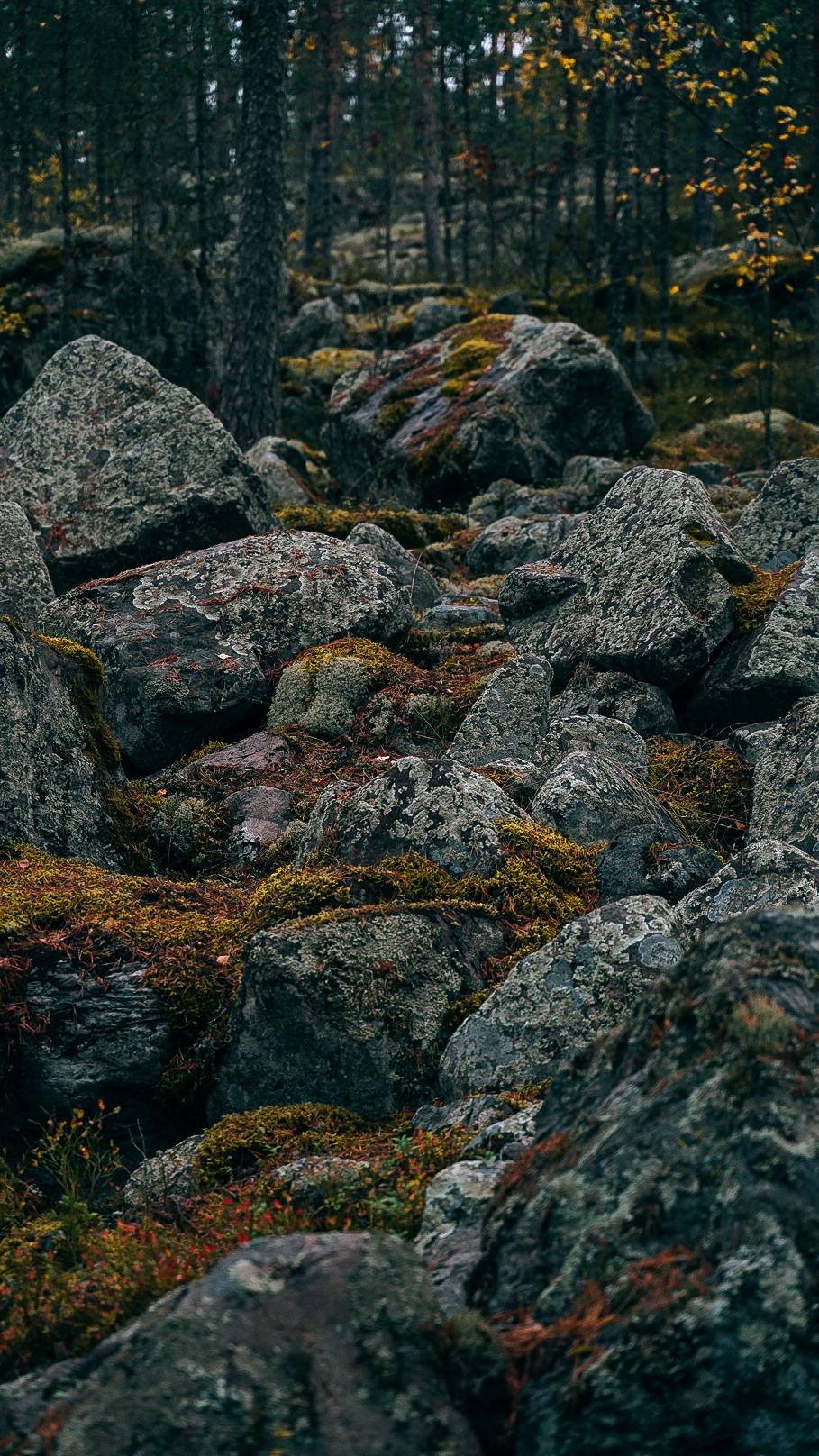 Вокруг Ладоги на мотоцикле 2020. Человек с фотокамерой