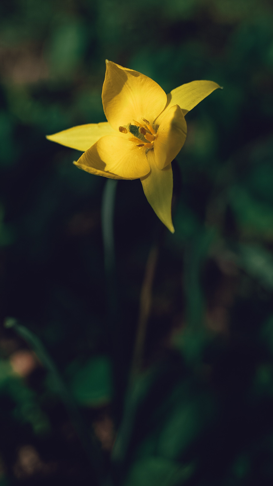 Между Уфой и Оренбургом 2022. Человек с фотокамерой