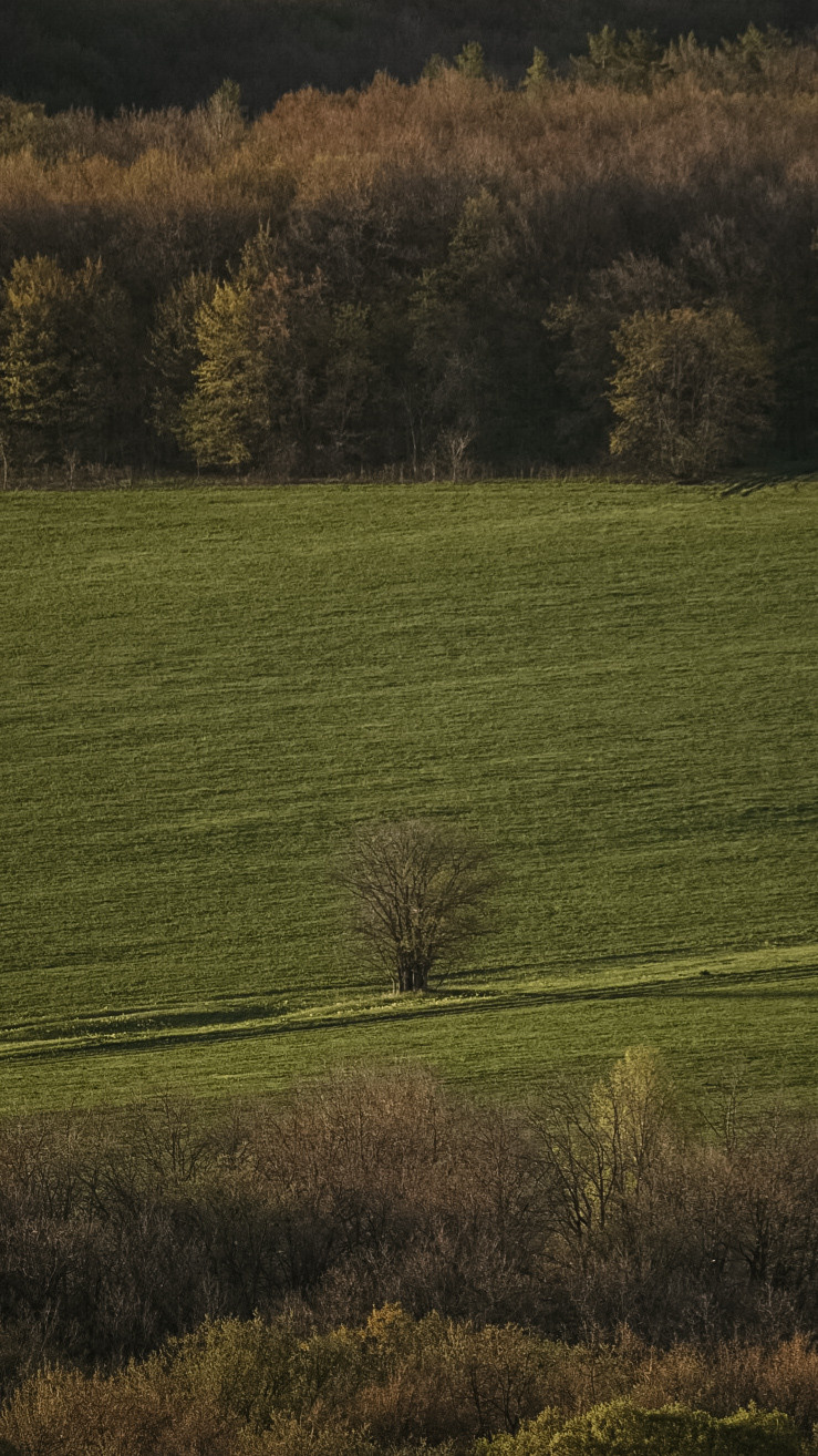 Между Уфой и Оренбургом 2022. Человек с фотокамерой