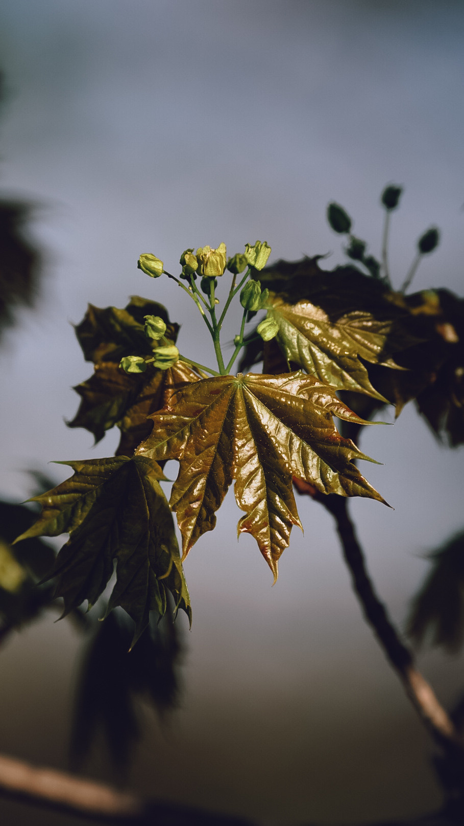 Между Уфой и Оренбургом 2022. Человек с фотокамерой