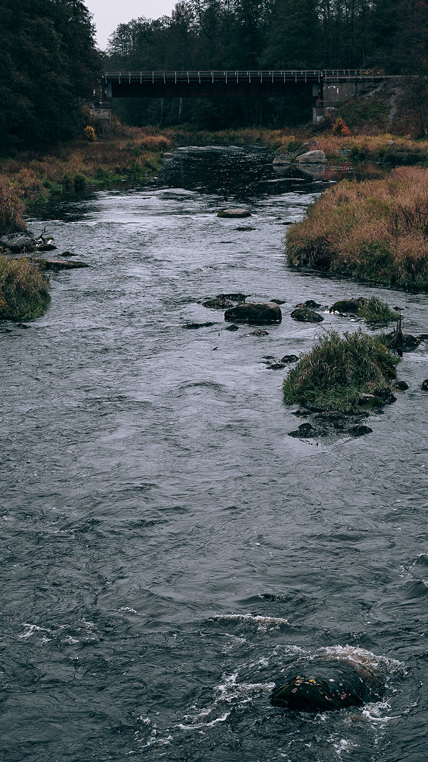 Вокруг Ладоги на мотоцикле 2020. Человек с фотокамерой