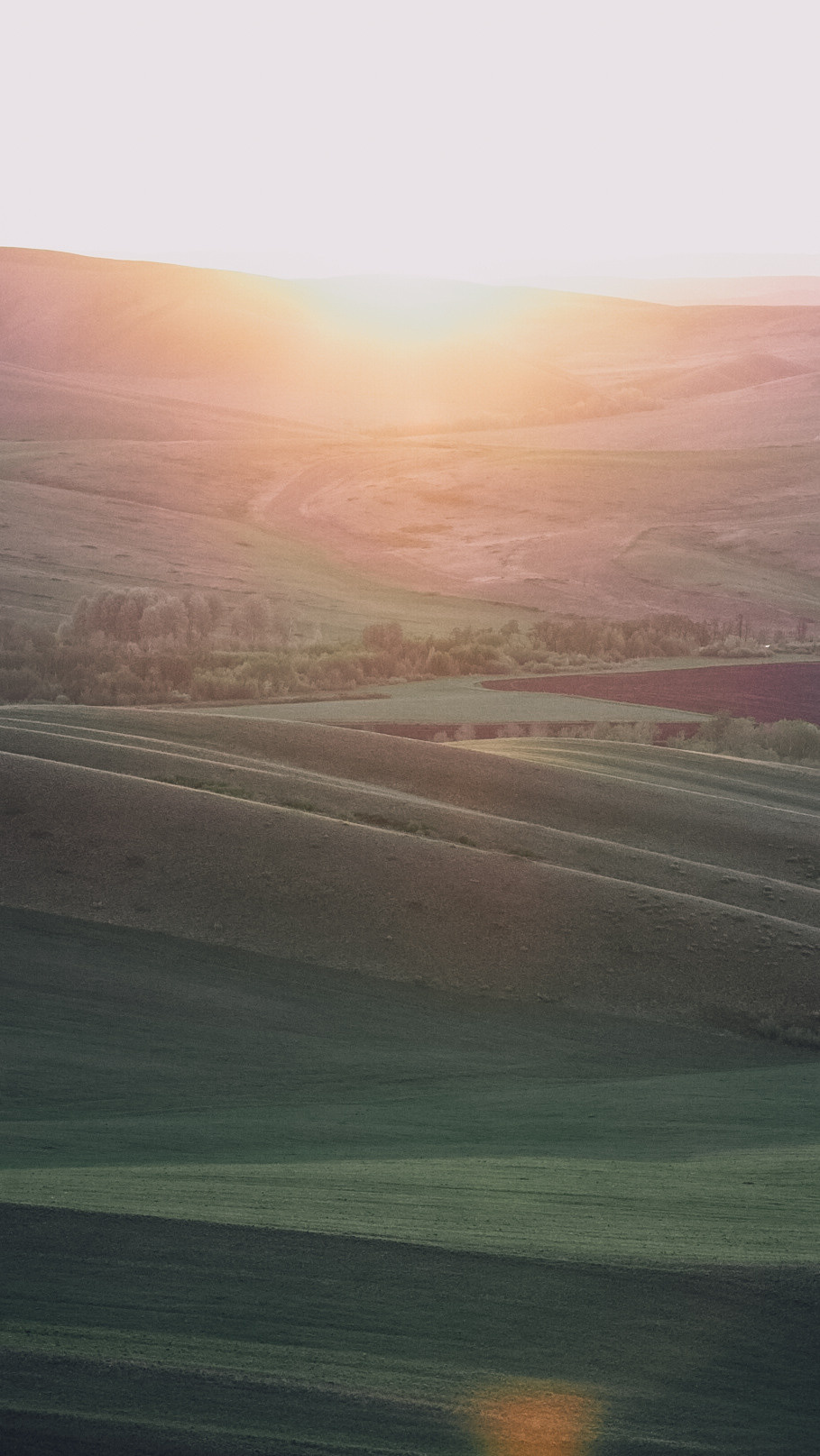 Между Уфой и Оренбургом 2022. Человек с фотокамерой