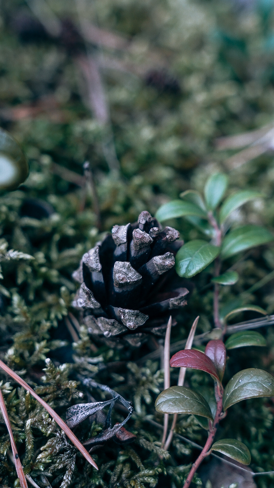 Вокруг Ладоги на мотоцикле 2020. Человек с фотокамерой