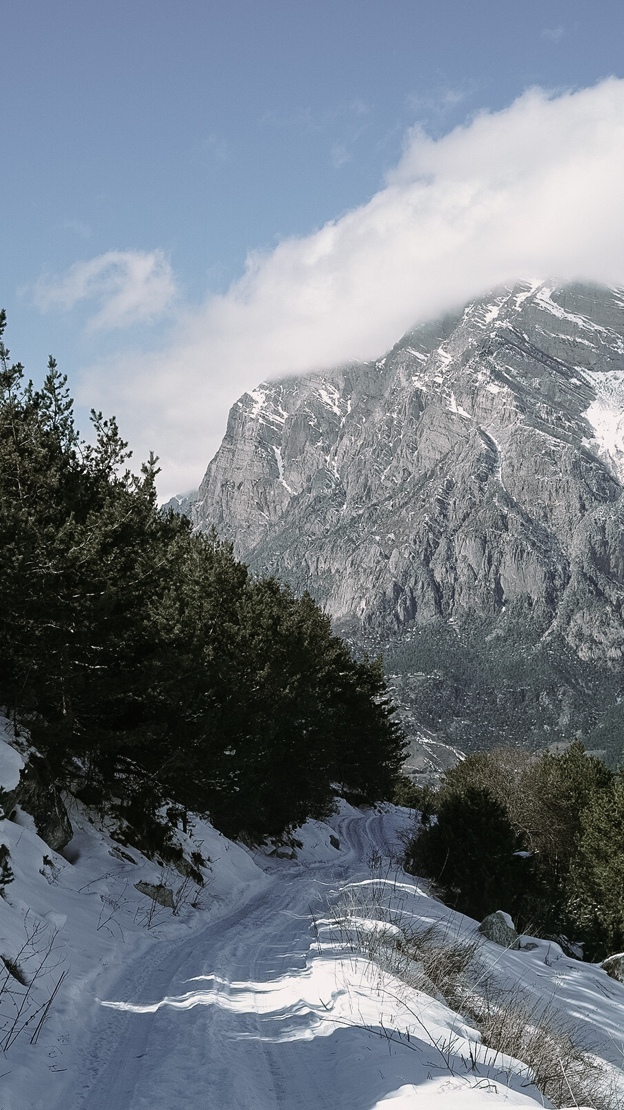 Северная Осетия — Алания 2022. Человек с фотокамерой
