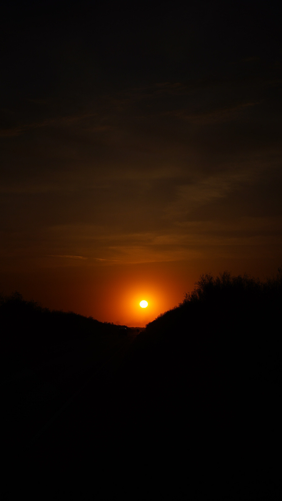 Между Уфой и Оренбургом 2022. Человек с фотокамерой