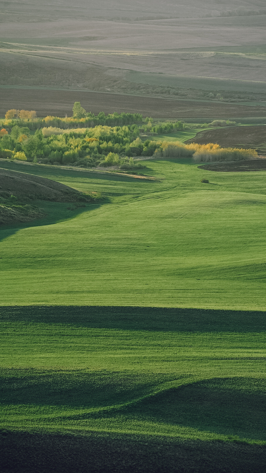 Между Уфой и Оренбургом 2022. Человек с фотокамерой