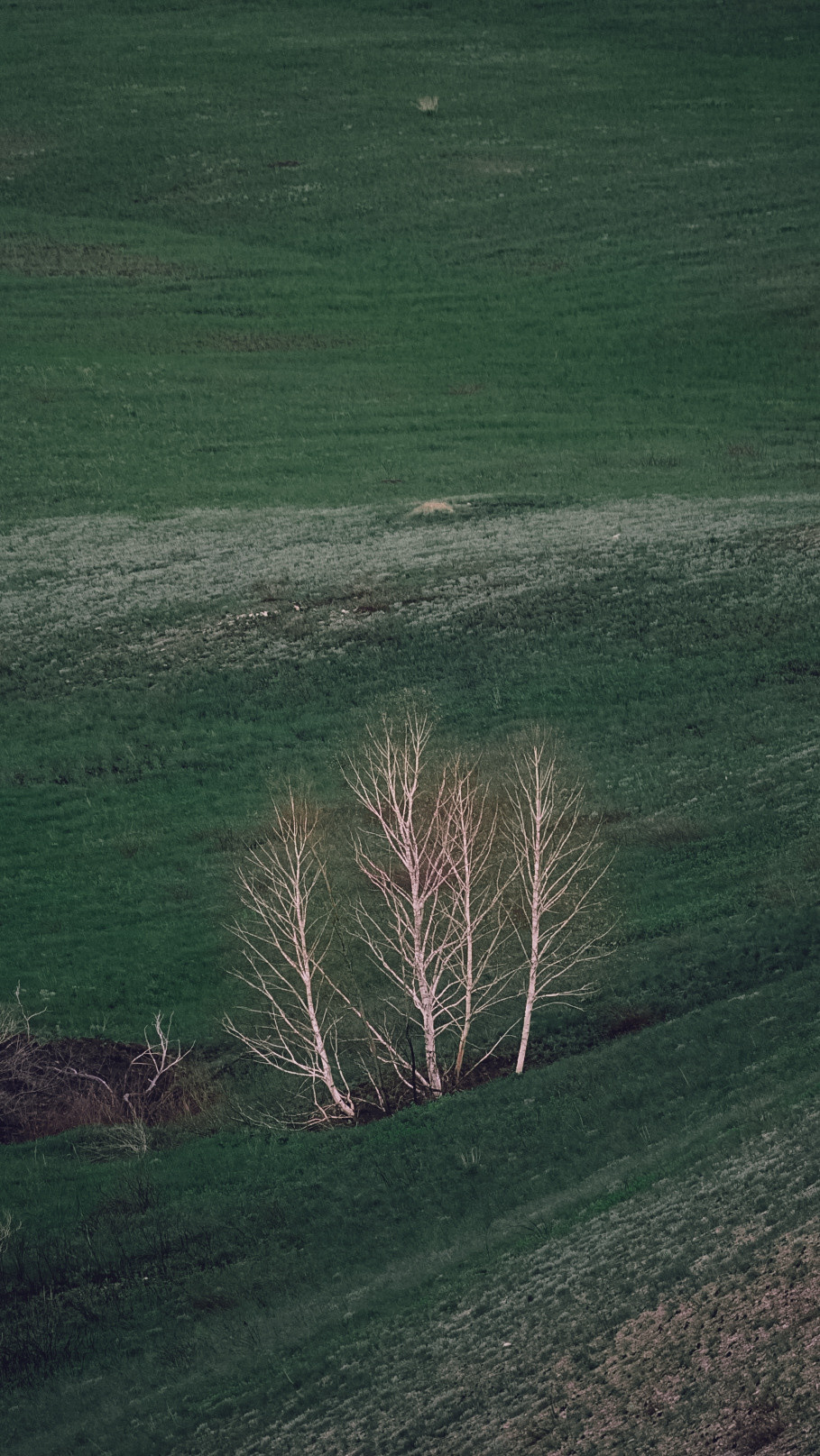 Между Уфой и Оренбургом 2022. Человек с фотокамерой