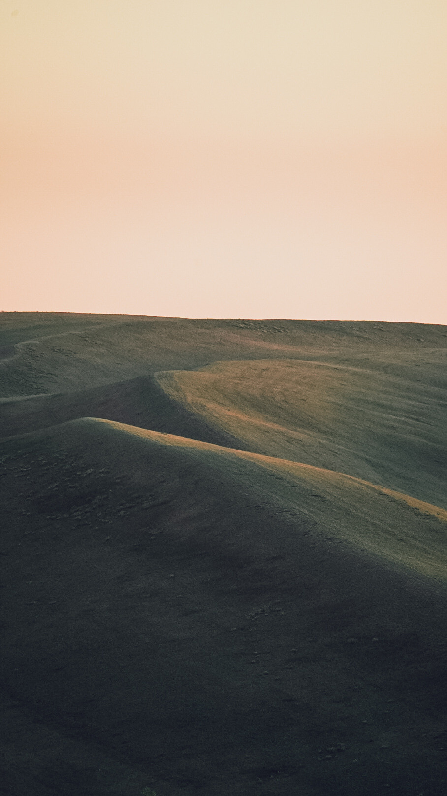 Между Уфой и Оренбургом 2022. Человек с фотокамерой