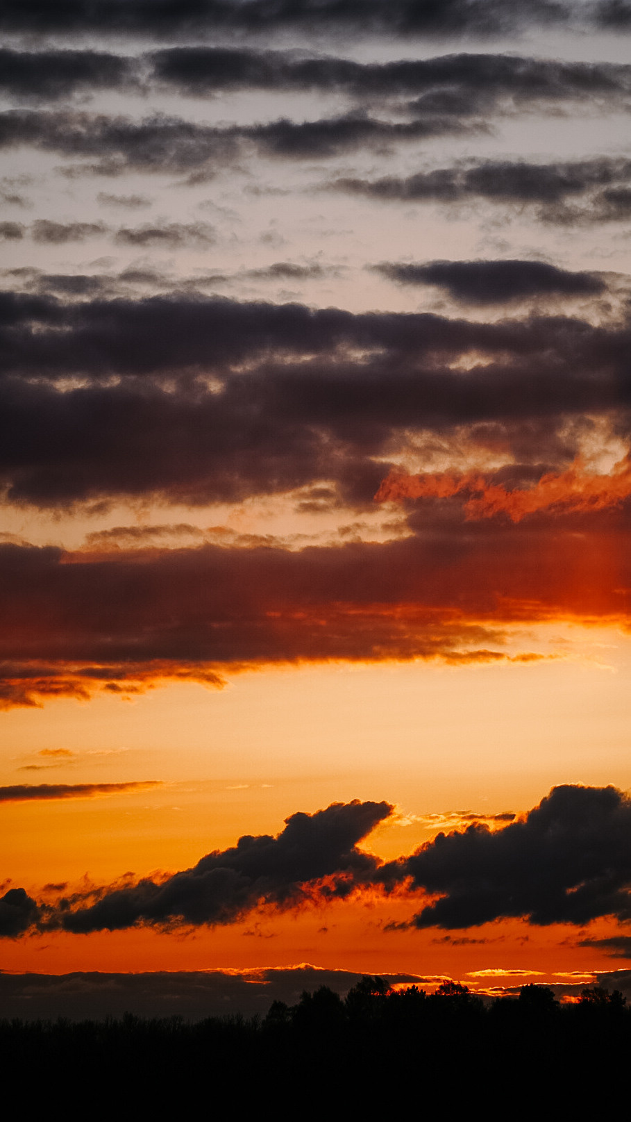 Между Уфой и Оренбургом 2022. Человек с фотокамерой