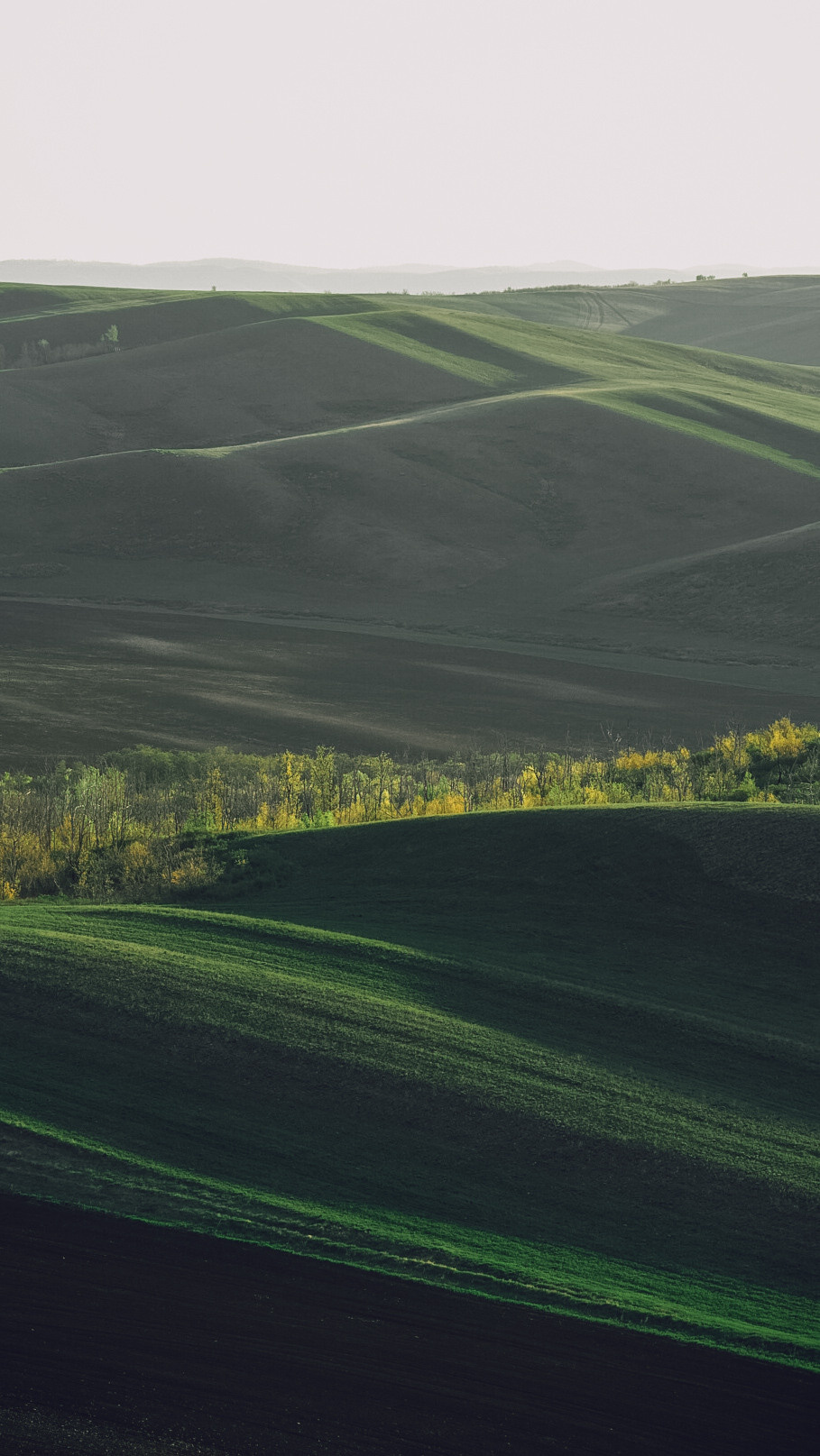 Между Уфой и Оренбургом 2022. Человек с фотокамерой