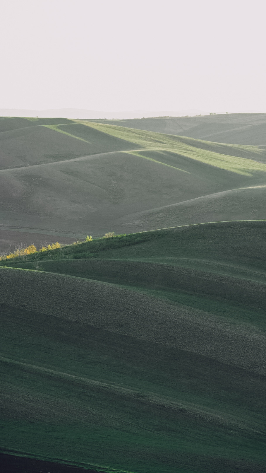 Между Уфой и Оренбургом 2022. Человек с фотокамерой