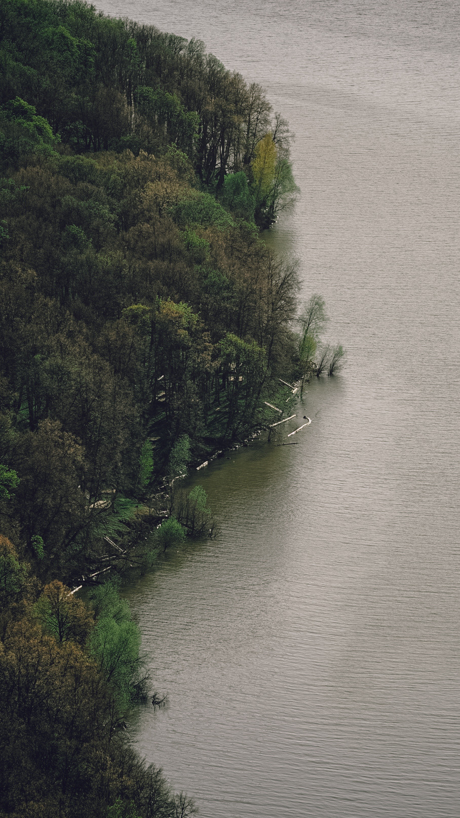 Между Уфой и Оренбургом 2022. Человек с фотокамерой