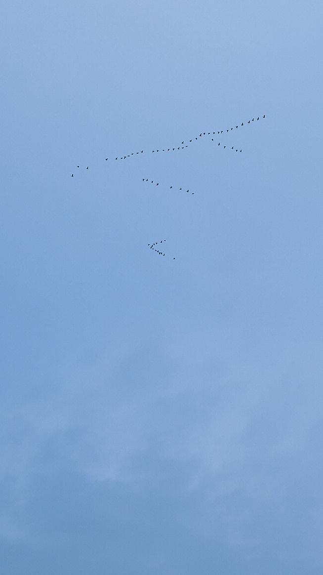 Вокруг Ладоги на мотоцикле 2020. Человек с фотокамерой