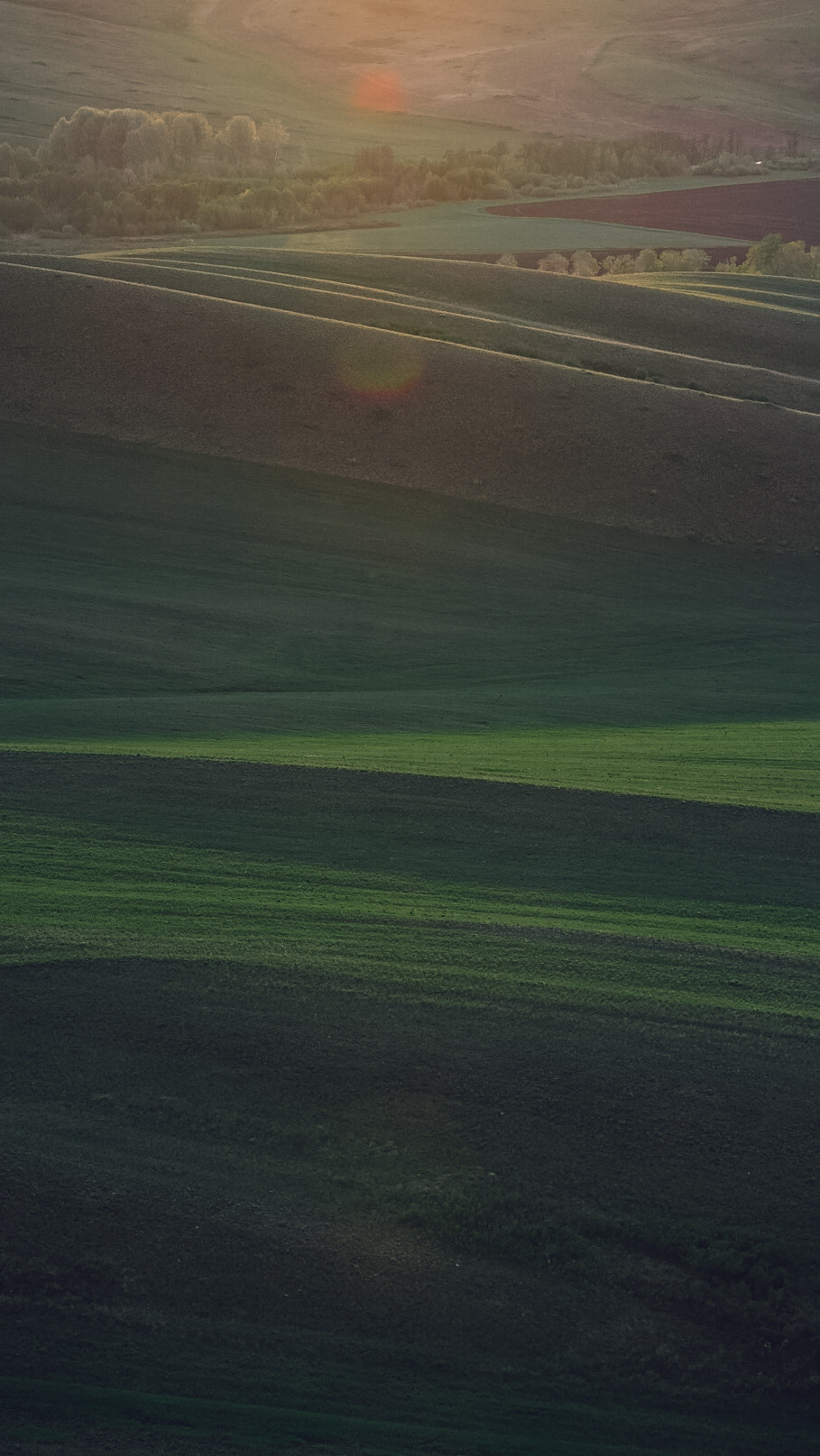 Между Уфой и Оренбургом 2022. Человек с фотокамерой