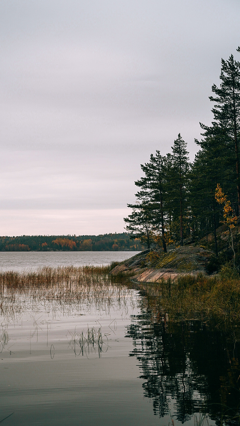 Вокруг Ладоги на мотоцикле 2020. Человек с фотокамерой