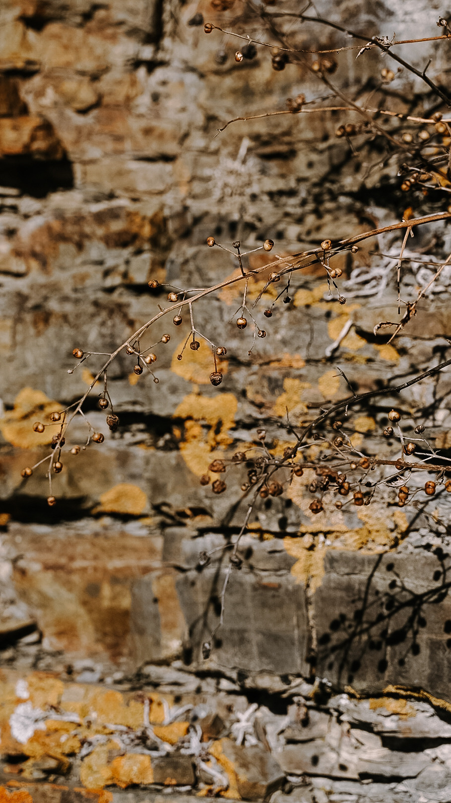 Северная Осетия — Алания 2022. Человек с фотокамерой