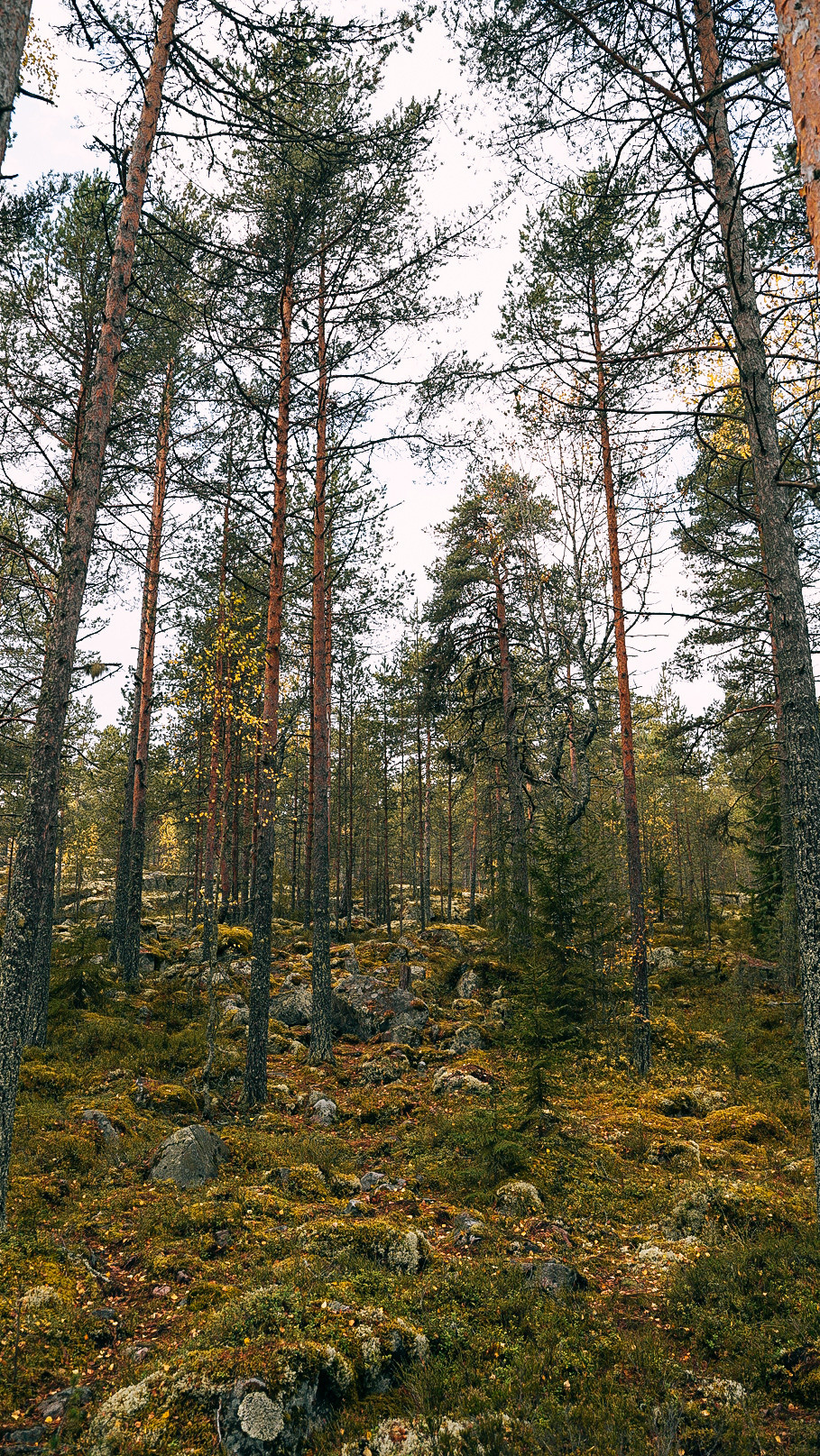 Вокруг Ладоги на мотоцикле 2020. Человек с фотокамерой