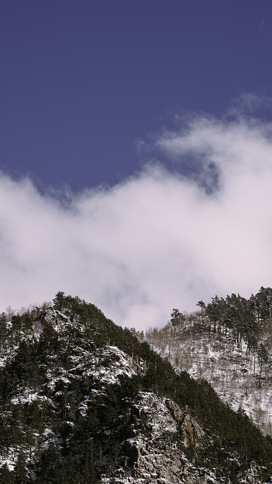 Северная Осетия — Алания 2022. Человек с фотокамерой