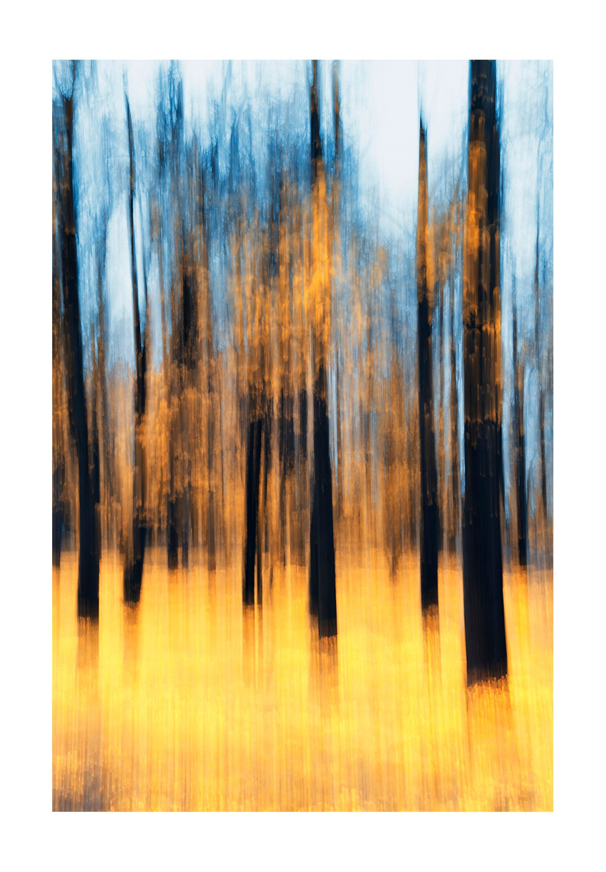 Walks in the Forest. Vasiliy Riabovol — Fine Art Photographer | Time, Space, and Silence