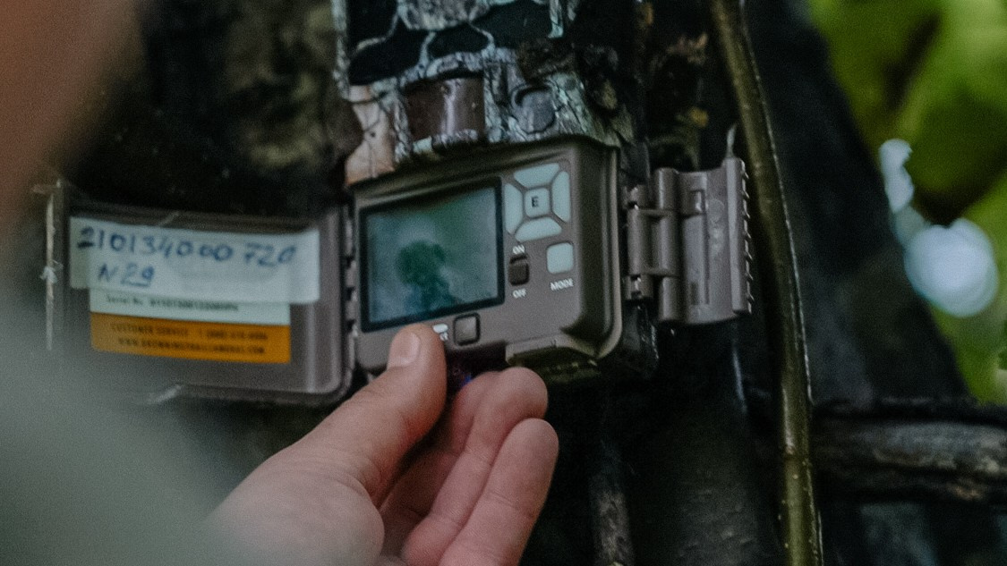 Фотопроект «Заповедный репортаж». Репортажный фотограф в Крыму Ксения Гасица