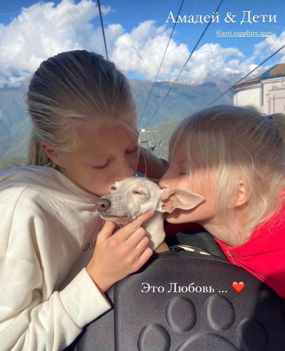 Левретка и ребенок: нежная дружба. Профессиональный питомник левреток РКФ/FCI ASTI SAPPHIRE 💎 Сочи|Санкт-Петербург