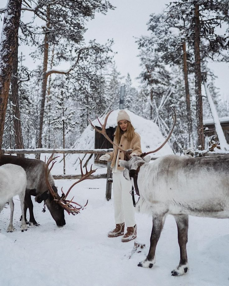 ПРАЙС НА ФОТОРЕПОРТАЖ ТУРЫ ВЫХОДНОГО ДНЯ