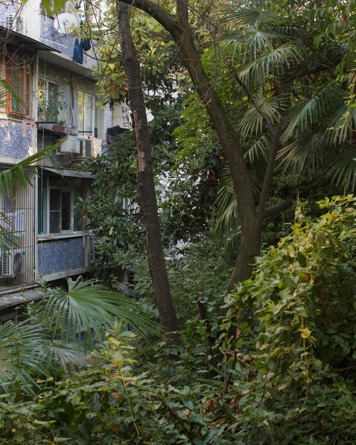 Arcadia. Anastasia Tsayder