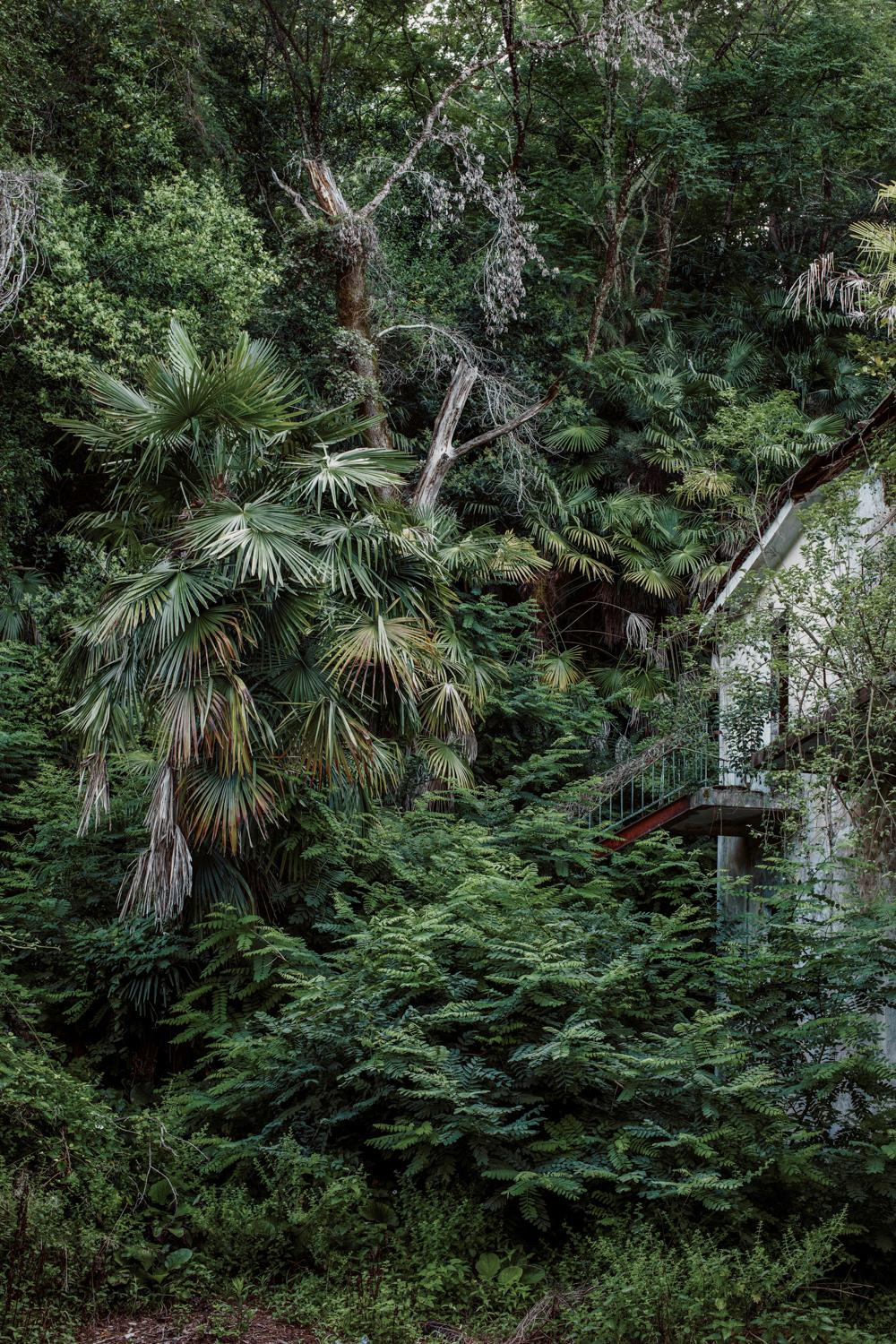 Arcadia. Anastasia Tsayder