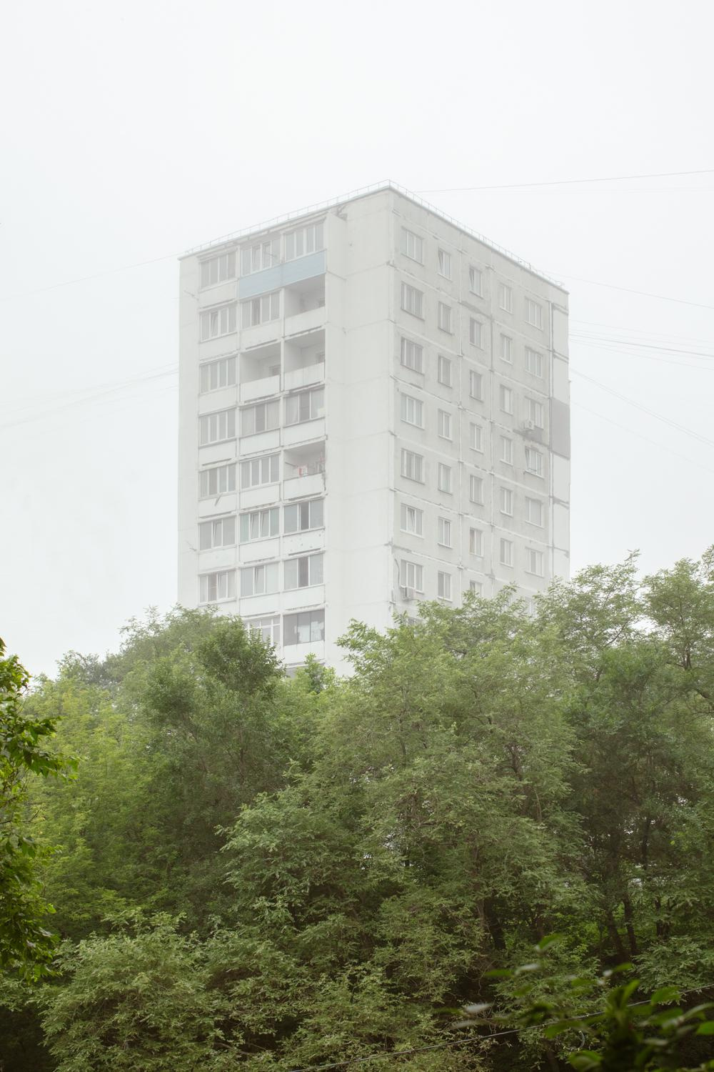 Arcadia. Anastasia Tsayder